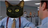 Office Space Bill Lumbergh