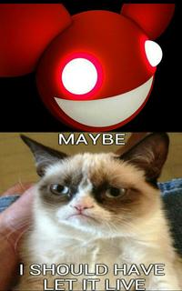 Grumpy Cat