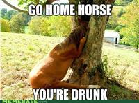 Go Home, You Are Drunk