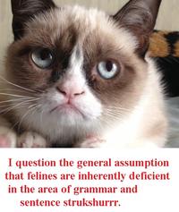 Grumpy Cat