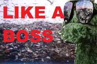 Like A Boss