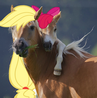My Little Pony: Friendship is Magic