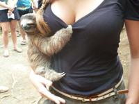 Sloths