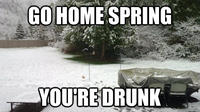 Go Home, You Are Drunk