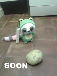 SOON