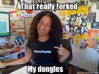 Donglegate / Adria Richards