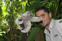 Sloths