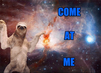 Sloths