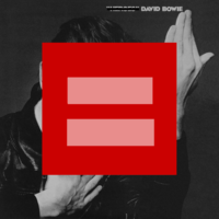 Red Equal Sign