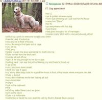 4chan