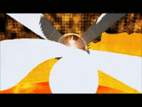 579.gif