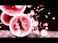 07c.gif