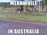Meanwhile in X
