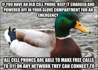 Actual Advice Mallard