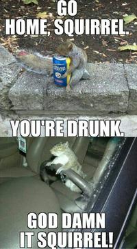Go Home, You Are Drunk