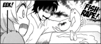 Sakurafish / Every Day Until You Like It
