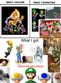 What I Watched / What I Expected / What I Got