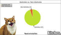 Mylo the Cat