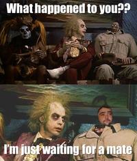 Just Waiting For A Mate