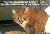 Mylo the Cat