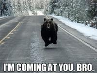 COME AT ME BRO
