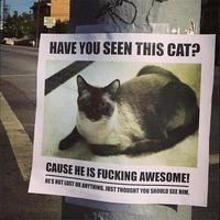 Cats