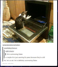 Cats