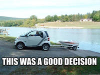 I Should Buy a Boat Cat