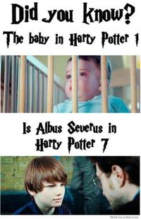 Did You Know?