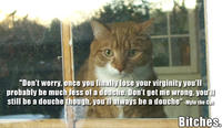 Mylo the Cat