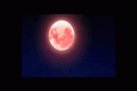 2ac.gif
