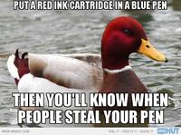 Actual Advice Mallard