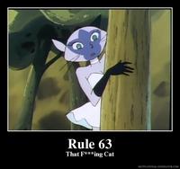 113