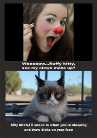 Grumpy Cat
