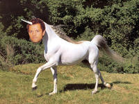 Mishapocalypse