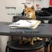 Interior Monologue Captioning