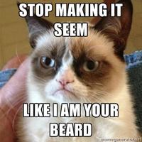 Cat Beards