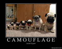 Demotivational Posters