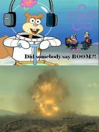 Fallout