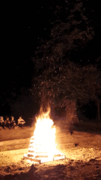 Cinemagraphs