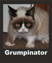 Grumpy Cat