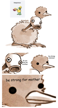 Pokefusion / Pokemon Fusion