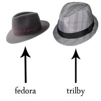 Fedora Shaming