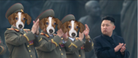 FrankerZ