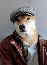 Dogs