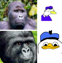 That Really Rustled My Jimmies