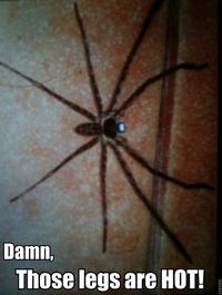 Trolling