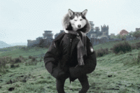Game of Thrones