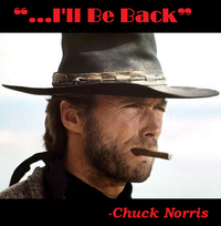 Troll Quotes