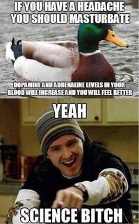 Actual Advice Mallard